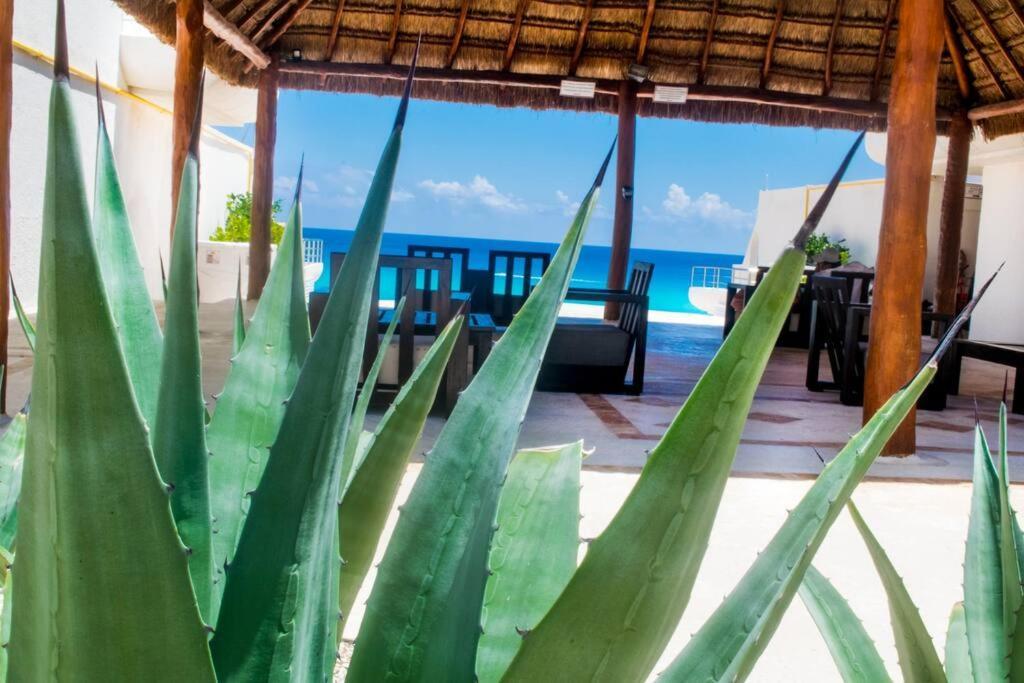 Ocean front Villa, best locacion in hotel zone Cancún Exterior foto