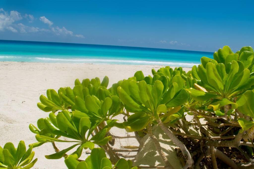 Ocean front Villa, best locacion in hotel zone Cancún Exterior foto
